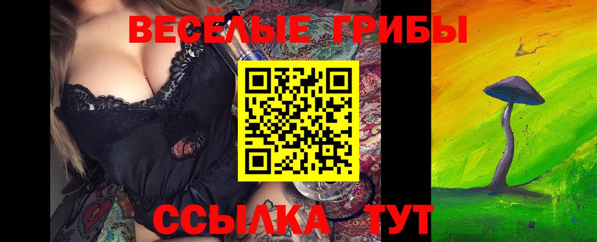 Галлюциногенные грибы мицелий  Галлюциногенные грибы ЛСД  Губкинский  цена наркотик  Вход с VPN 