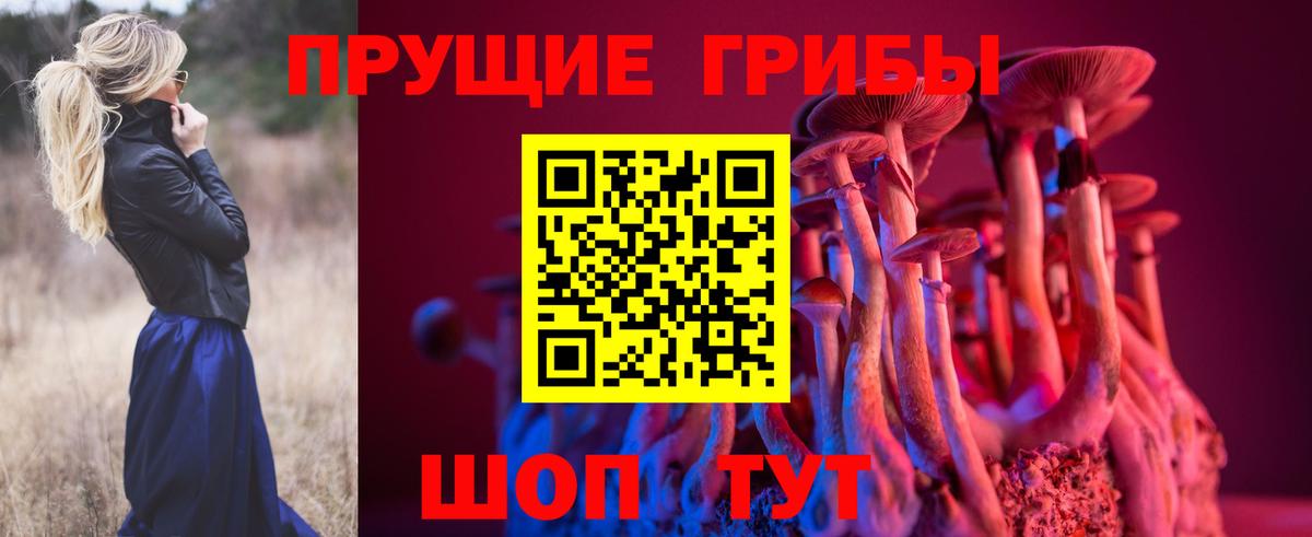 Псилоцибиновые грибы MAGIC MUSHROOMS Губкинский